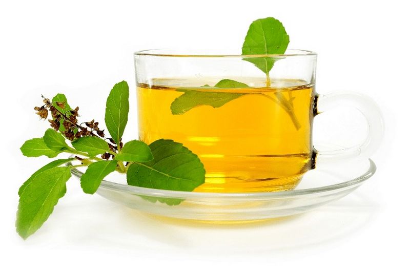 Benefícios do chá de manjericão