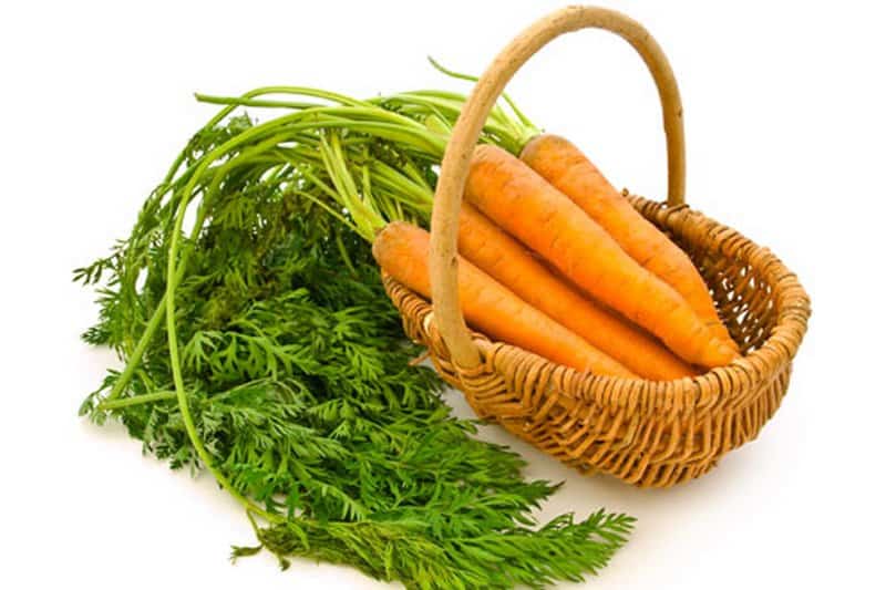 Saiba quais os beneficios da cenoura para a nossa saúde